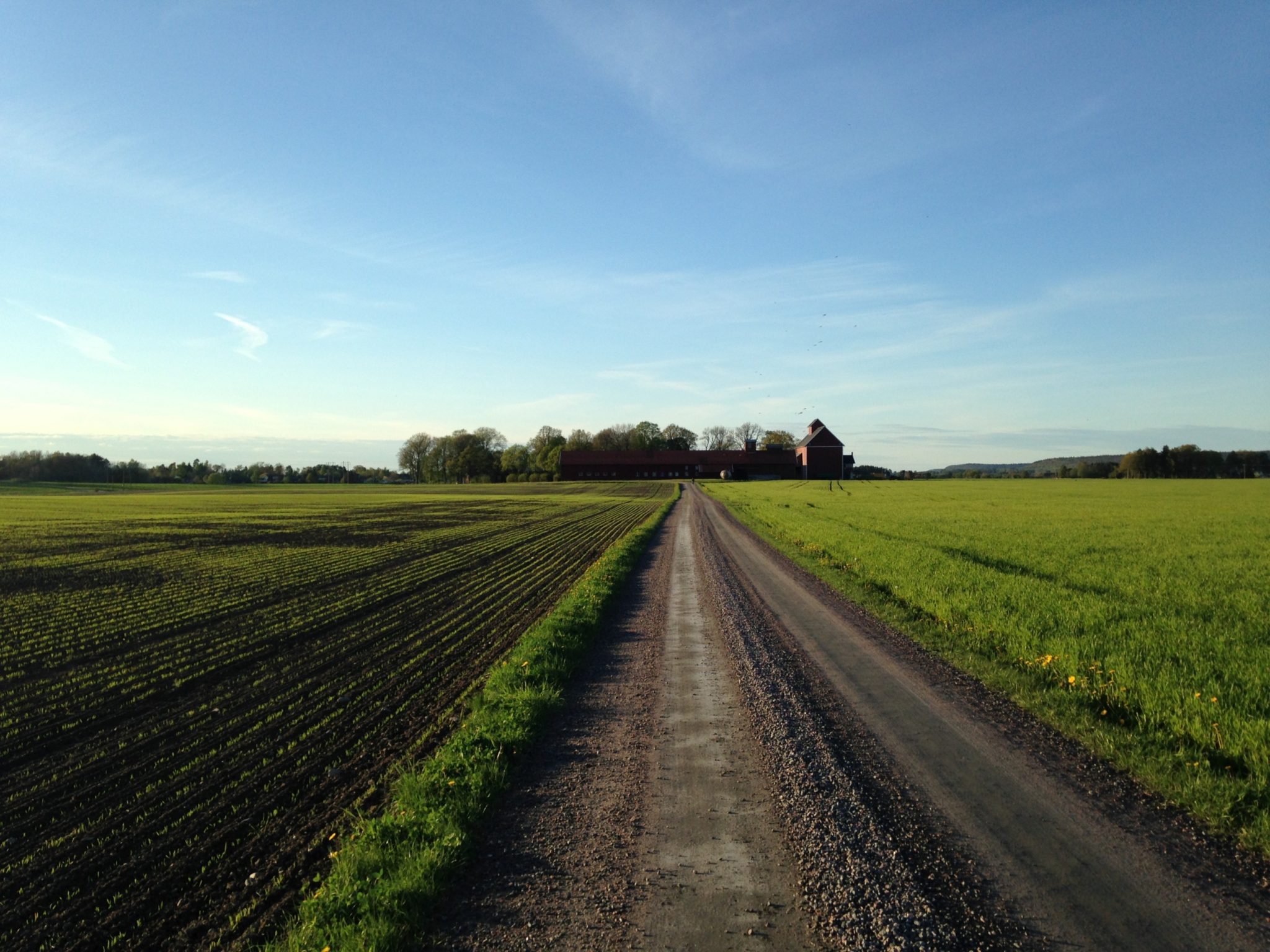 arrende och arrendeavgift