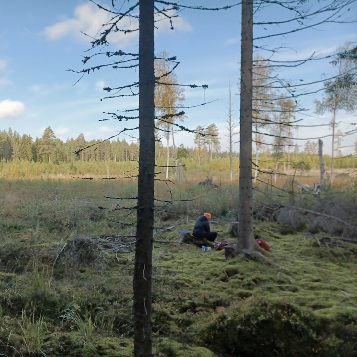 upplåtelse av jakträtt och fiskerätt