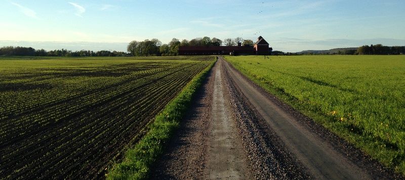 åkermark med markupplåtelse