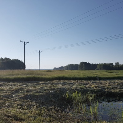 ledningsrätt för elnät